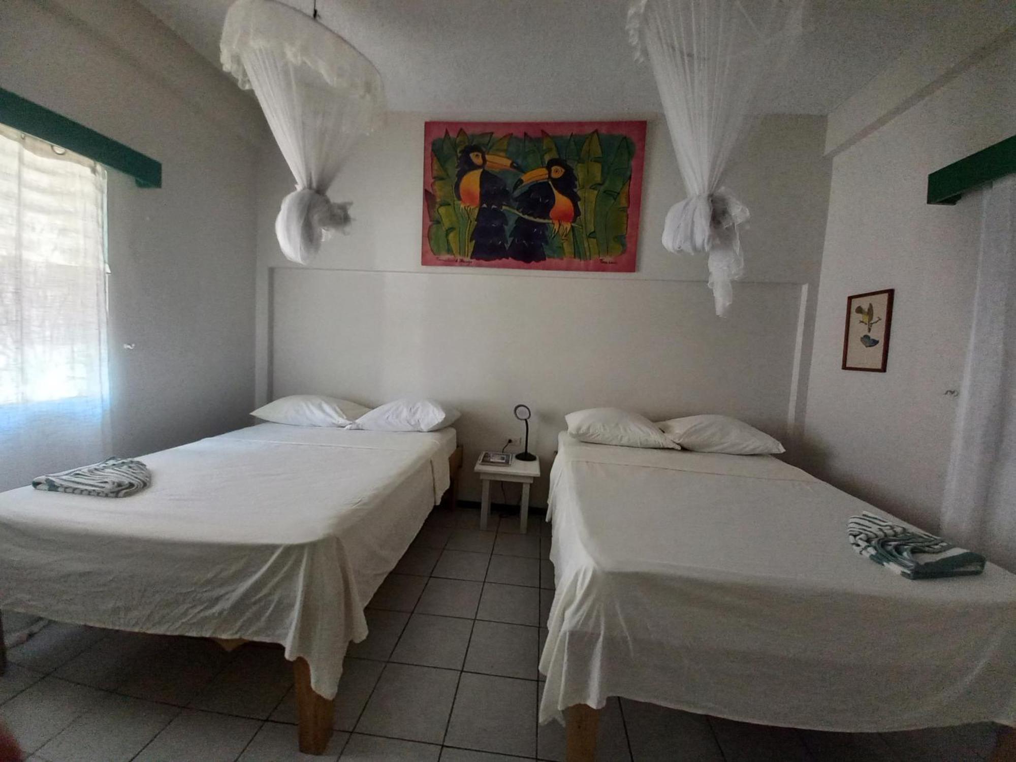 The Seaside Garden Guesthouse Buccoo Εξωτερικό φωτογραφία