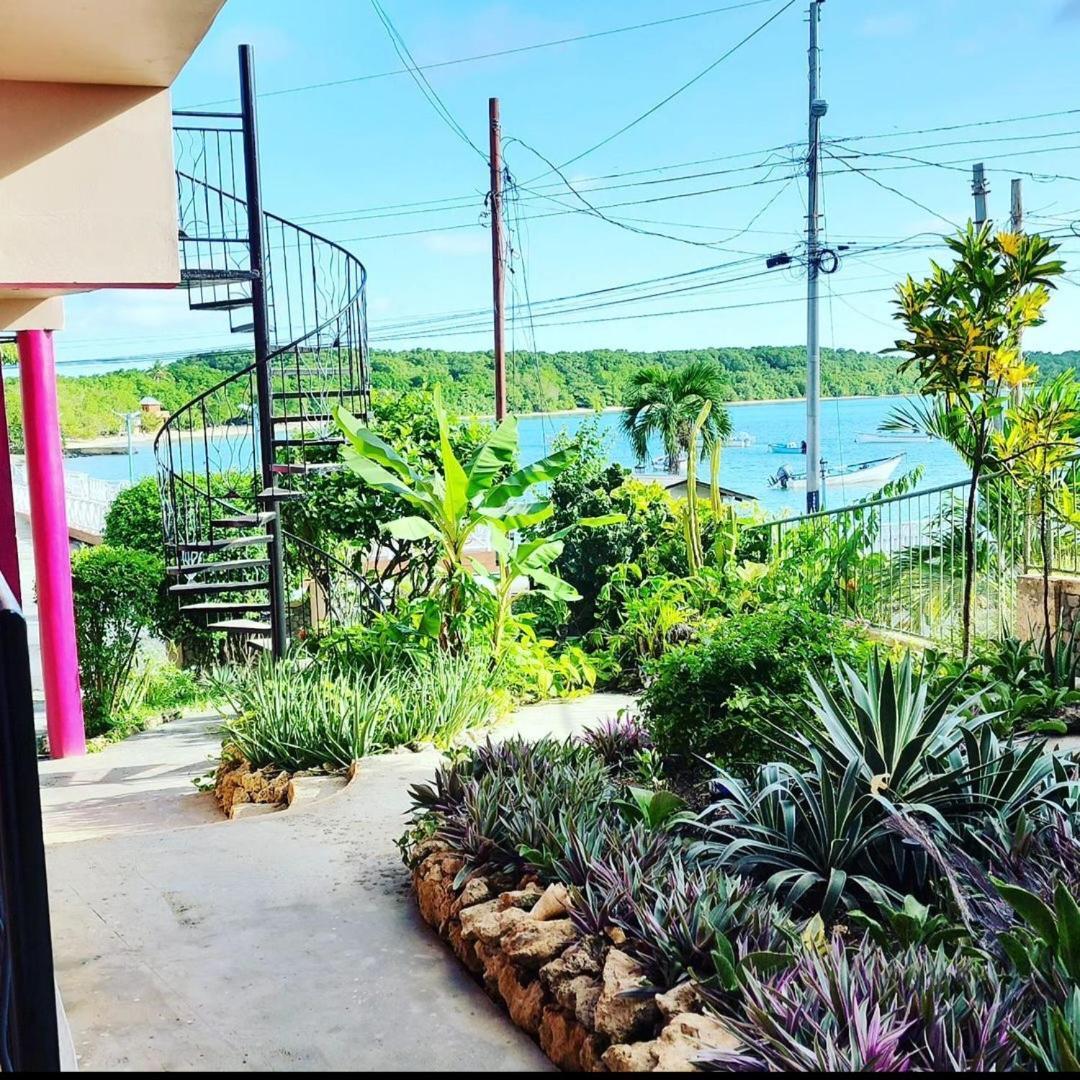 The Seaside Garden Guesthouse Buccoo Εξωτερικό φωτογραφία