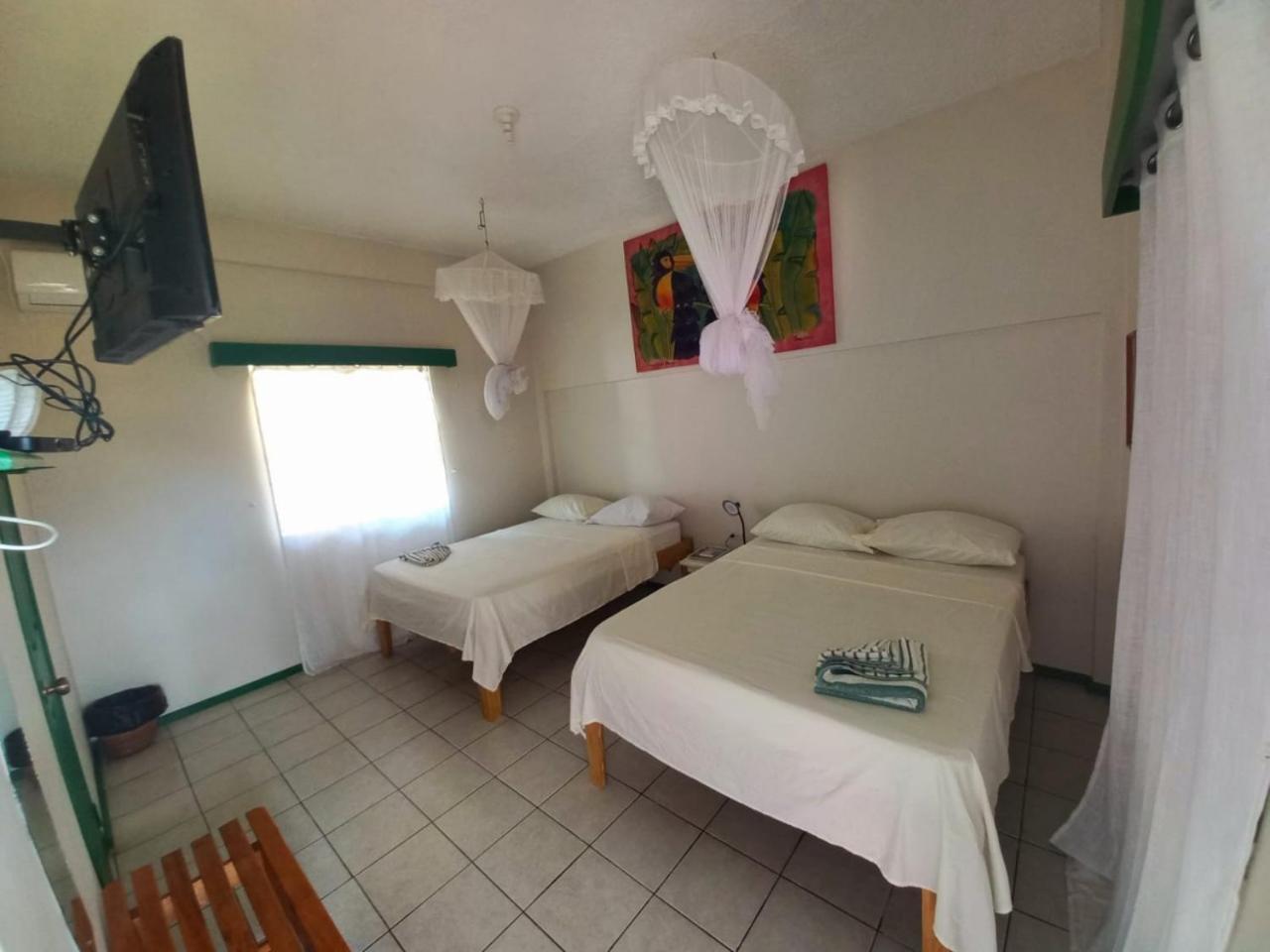 The Seaside Garden Guesthouse Buccoo Εξωτερικό φωτογραφία