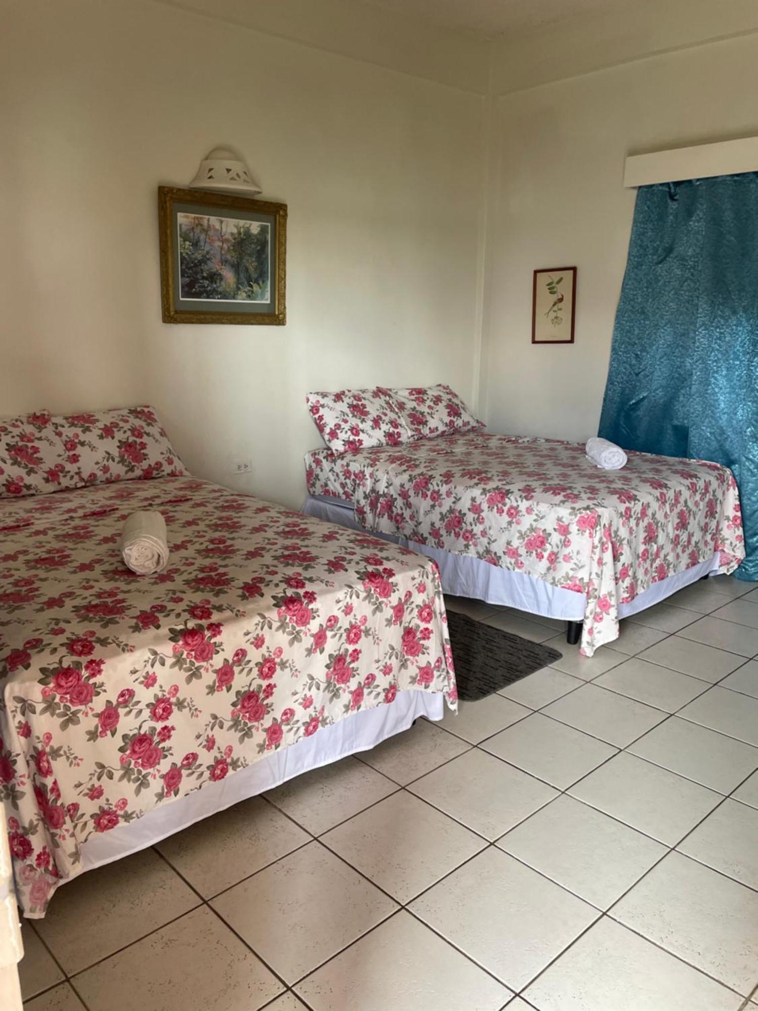 The Seaside Garden Guesthouse Buccoo Εξωτερικό φωτογραφία