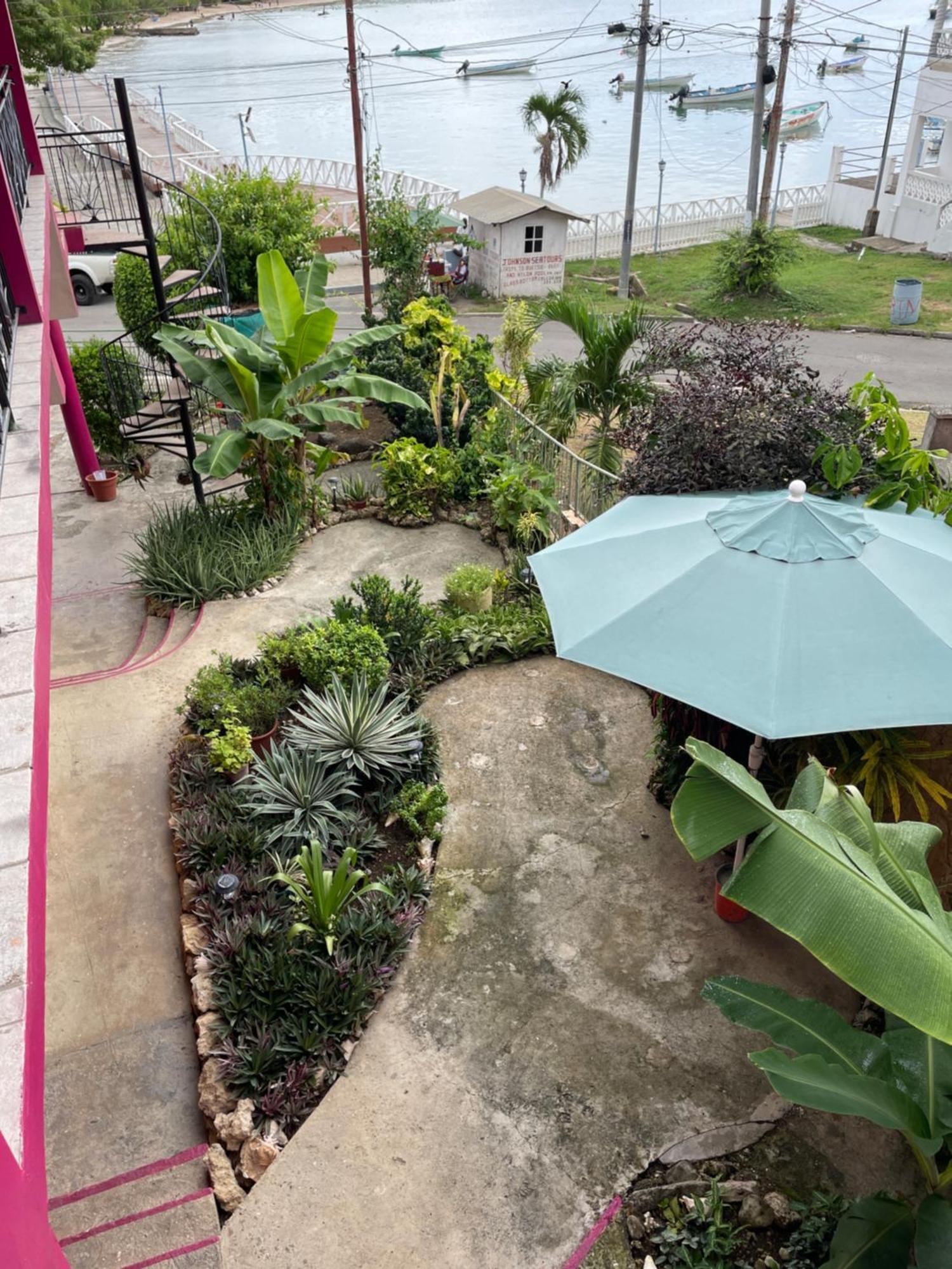 The Seaside Garden Guesthouse Buccoo Εξωτερικό φωτογραφία