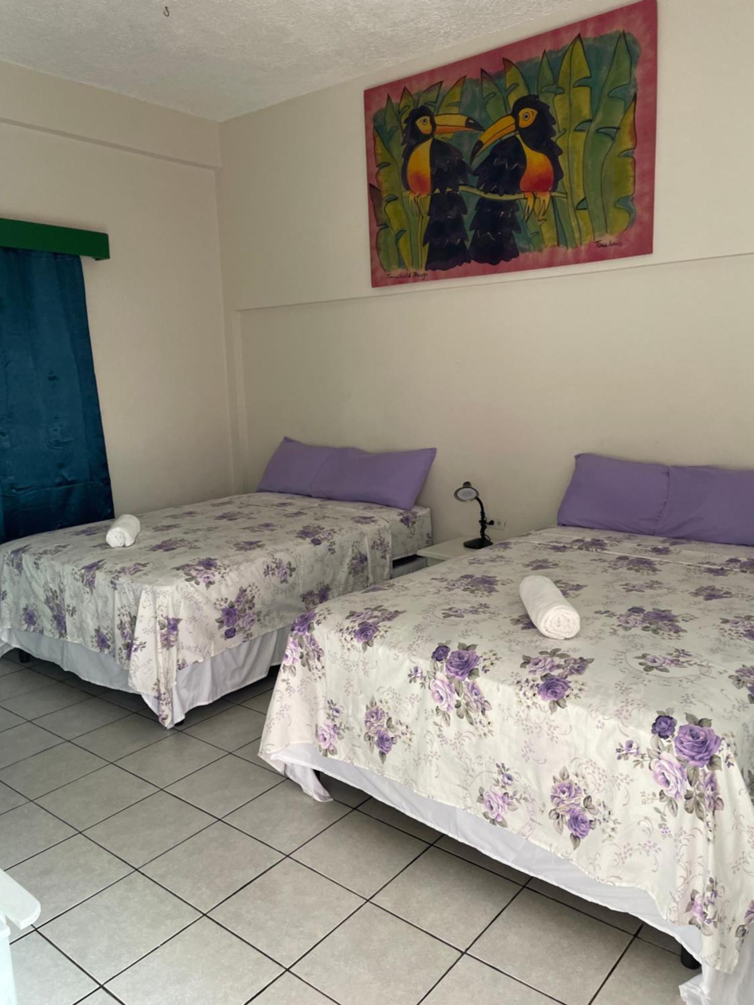The Seaside Garden Guesthouse Buccoo Εξωτερικό φωτογραφία